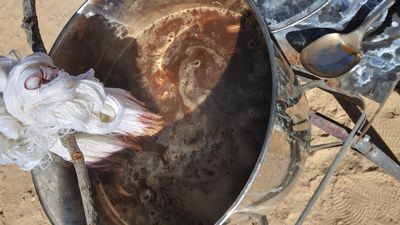 Dain's & Amanda's Earthship 2025